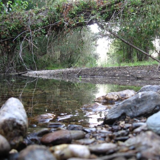 Rio Tamega a su paso por Castrelo do Val