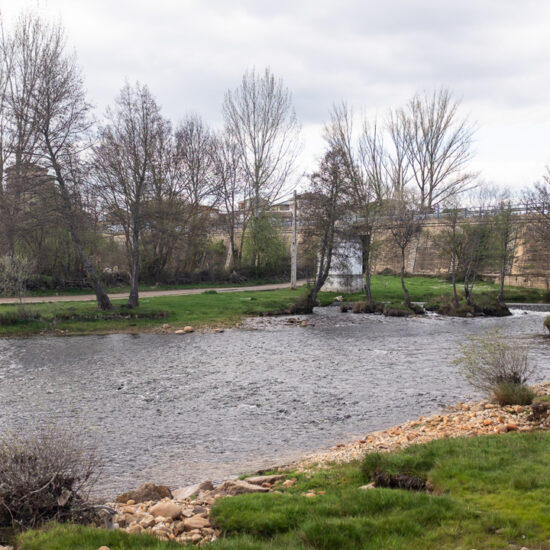 Rionegro del Puente en Zamora