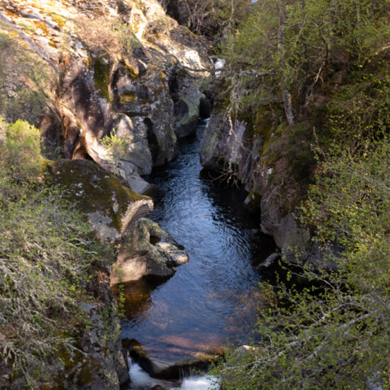 Rio Tuela a su paso por Lubián