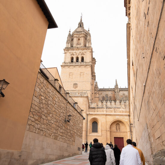 Conoce Salamanca mediante el Camino de la Plata